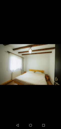 Others 5, Casa Pietrosu Rodnei, Borsa