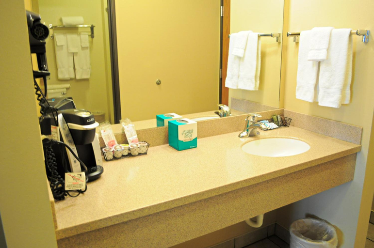 Bathroom 3, Corporate East Hotel, Grant