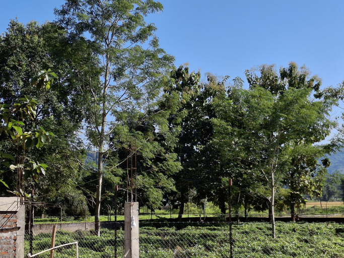 Others 5, EJAAR HOMESTAY, Golaghat