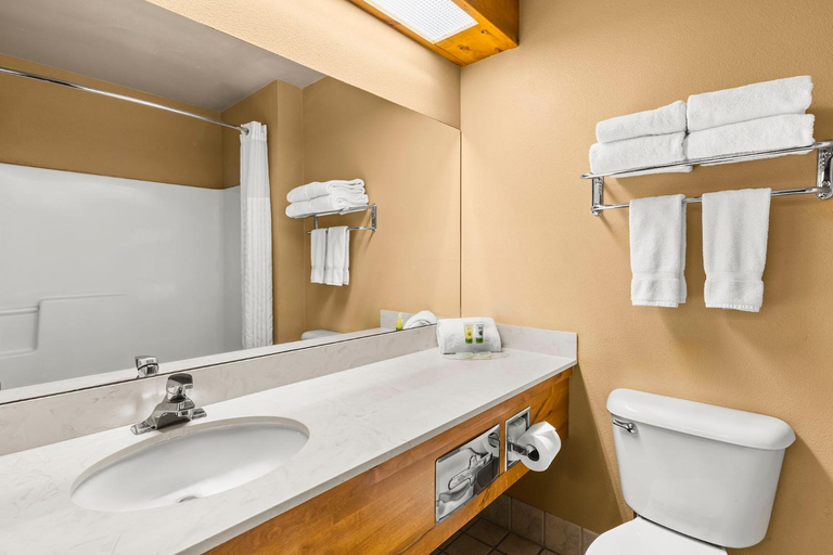 Bathroom 4, Bitterroot River Inn and Conference Center, Ravalli