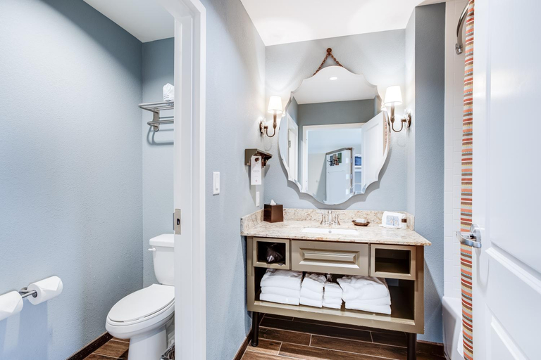Bathroom 5, Dollywood's DreamMore Resort and Spa, Sevier
