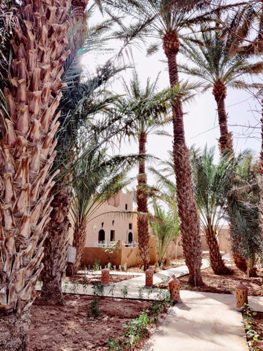 Others 2, Zagora Oasis Lodge & Desert Excursions, Zagora