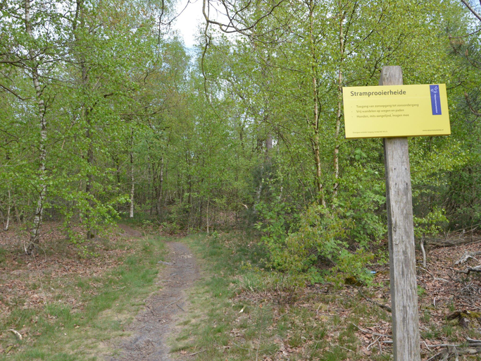 Others 3, Romantic Forest Retreat with Sauna, Weert