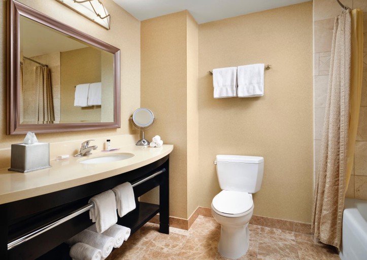 Bathroom 3, West Inn and Suites, San Diego