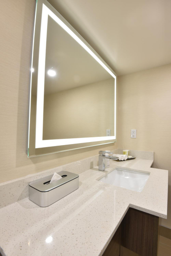 Bathroom 4, Victoria Inn Hotel and Convention Center Winnipeg, Division No. 11