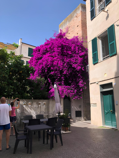 WONDERFUL NOLI - appartamento Noli Liguria Italia, Savona