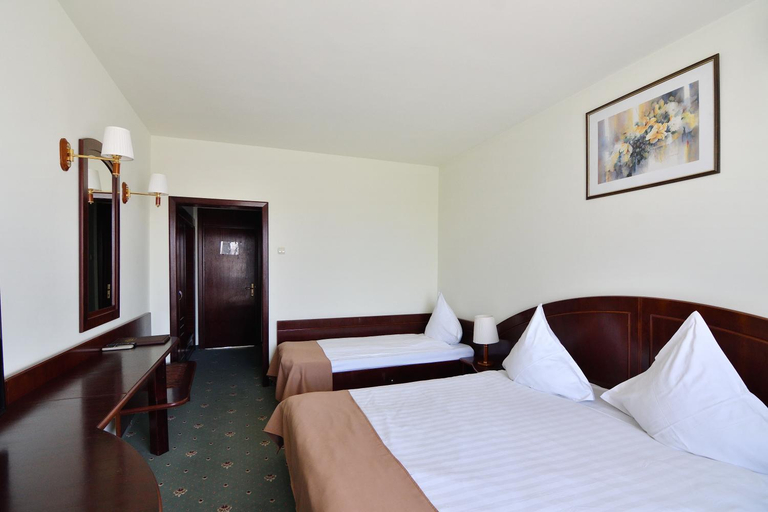 Bedroom 2, Hotel Delta 3, Tulcea