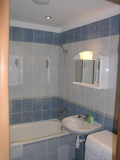 Bathroom 3, Penzion Netolice, Prachatice