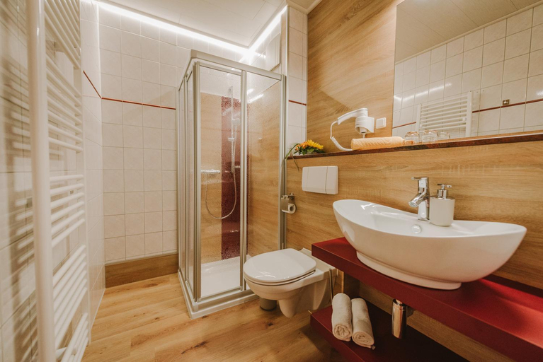 Bathroom 5, Hotel Berglandstubel, Vogtlandkreis