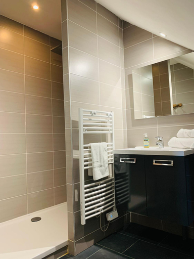 Bathroom 3, Le Chateau des Forges, Maine-et-Loire
