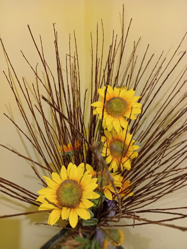 Others 5, A1-GIRASOLE BED AND BREAKFAST, Rome