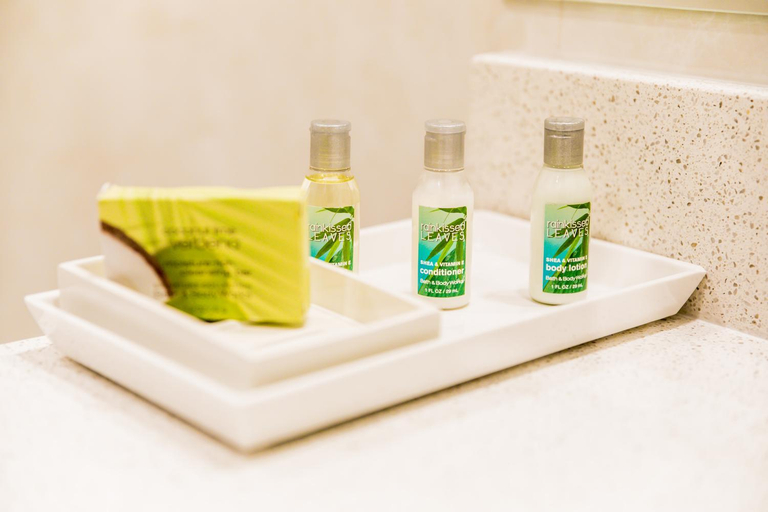 Bathroom 4, The Jamaica Pegasus Hotel