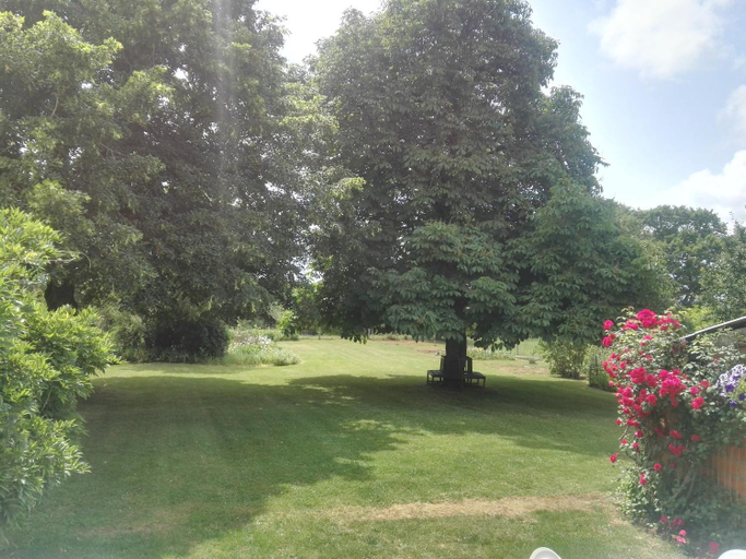 Others 4, Le Chene Vert, Vienne