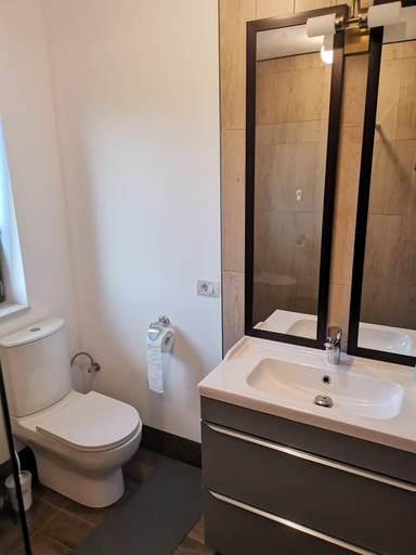 Bathroom 2, Pensiunea Almada, Vladimirescu