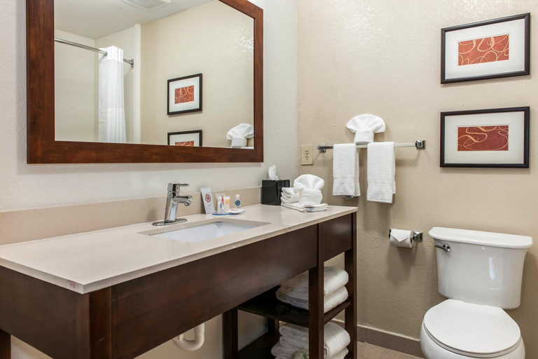 Bathroom, Comfort Inn Blue Ash North, Hamilton