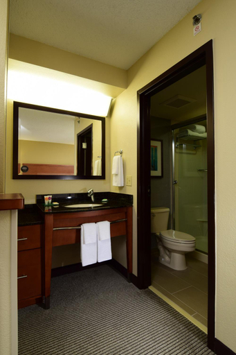 Bathroom 4, Hyatt Place Dallas/Las Colinas, Irving