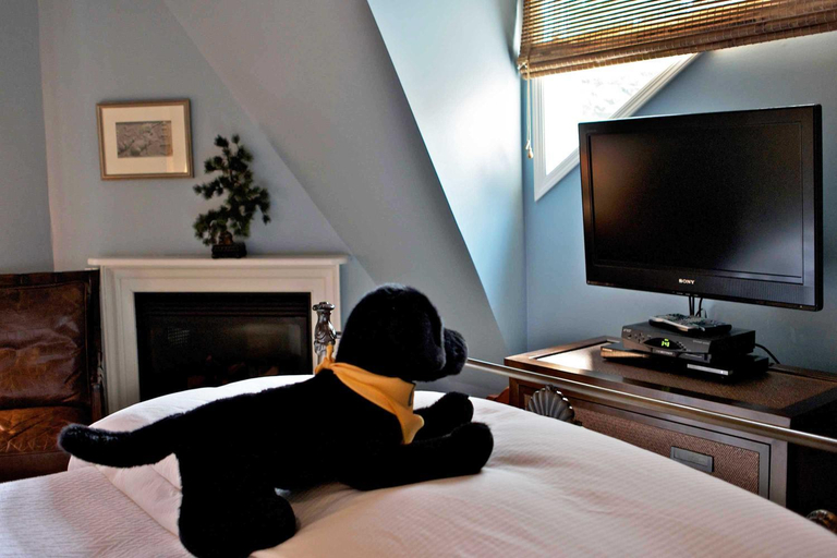 Bedroom 5