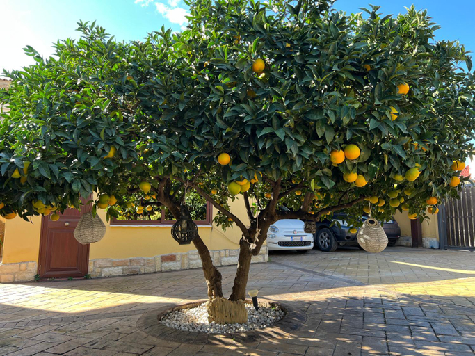 Others 4, B&B Templi e Arte, Agrigento