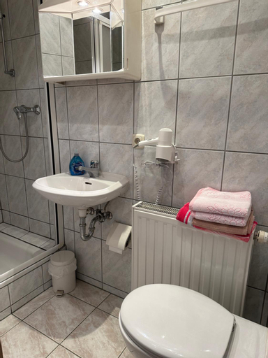 Bedroom 5, Gasthof „Zum Schwan“, Vogtlandkreis