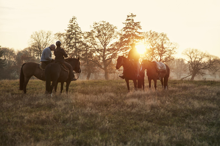 Others 5, Cavalan Ranch, Rostock