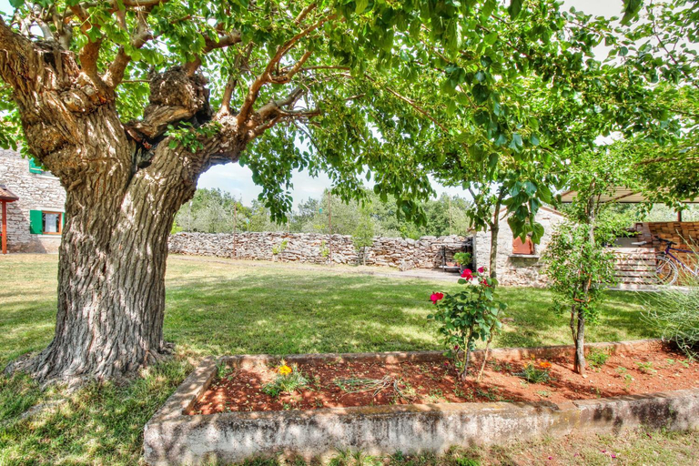 Others 4, Villa Alba, Umag