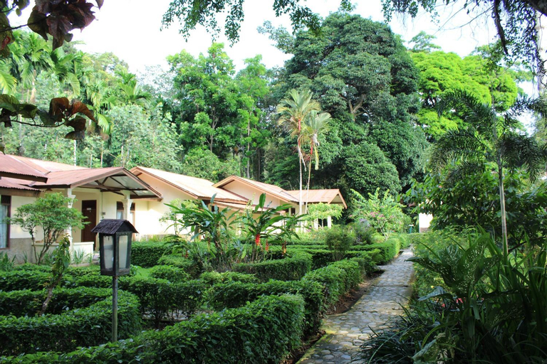 Scenery