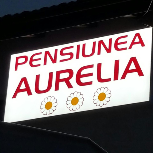 Others 3, Pensiunea Aurelia, Siria