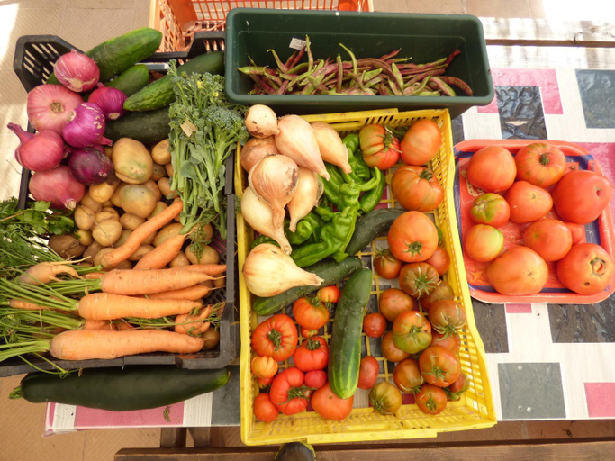 Food & Drinks 5, Hotel Albergue Bioclimatico Sabinares del Arlanza, Burgos