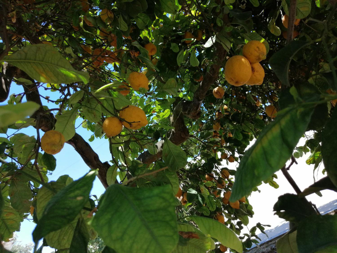 Others 5, LUMIE DI SICILIA, Agrigento