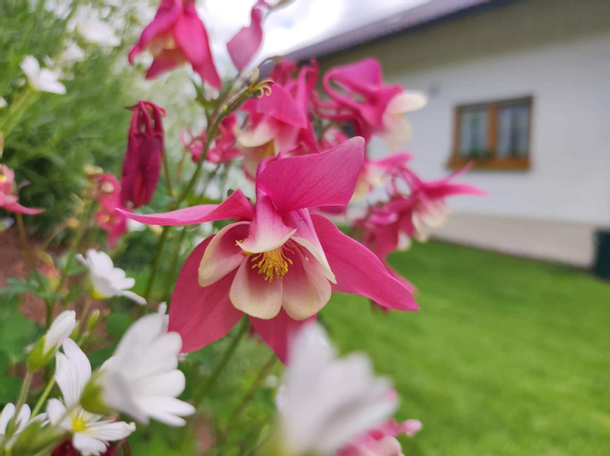 Edelstein Ferienwohnung Philippsreut, Freyung-Grafenau