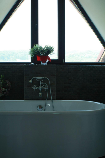 Bathroom 3, Pensiunea Clasic, Curtea De Arges