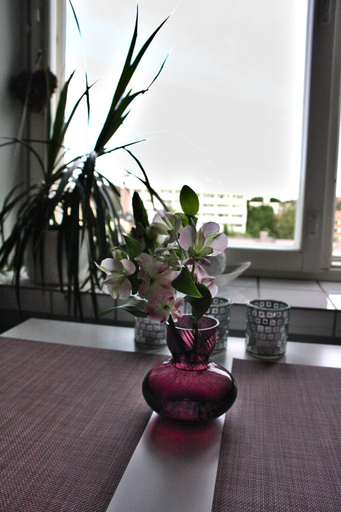 Scenery