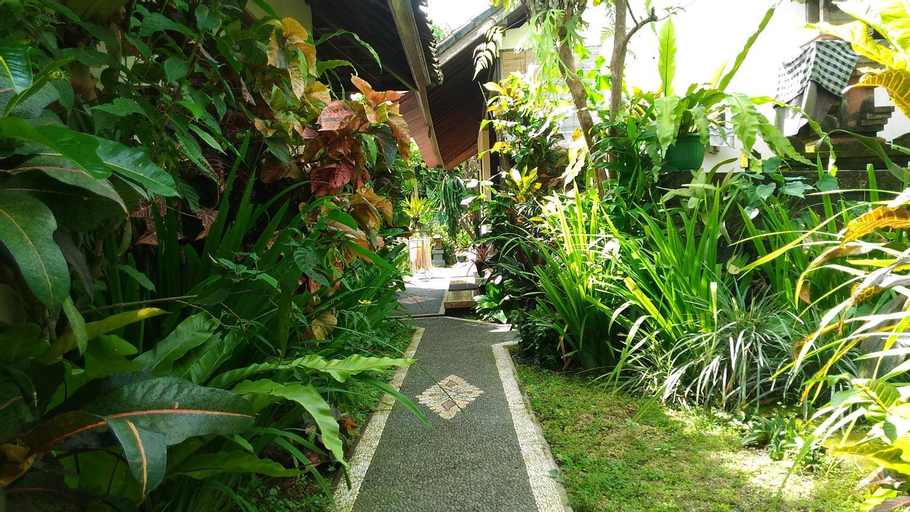 Scenery 5