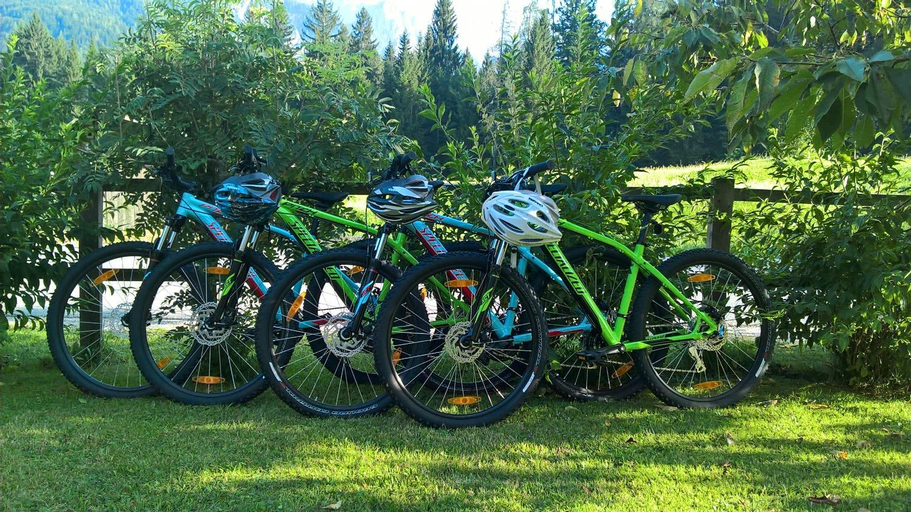 Others 4, Apartments Mertelj, Kranjska Gora