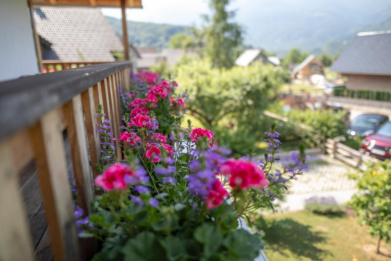 Others 5, Apartments Vila Jelka, Bohinj