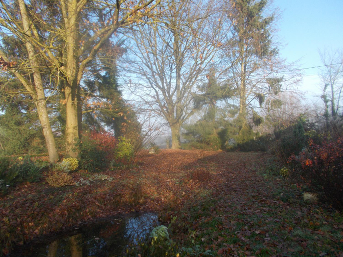 Scenery 9
