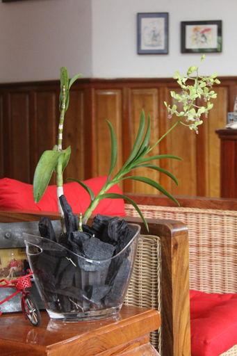 Public Area 2, Villa b. Maison d hotes Angkor, Siem Reap