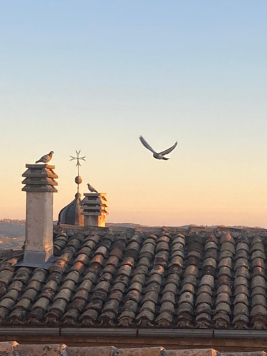 Others 5, Terracielo Ramona B&B Homestay Penne, Pescara