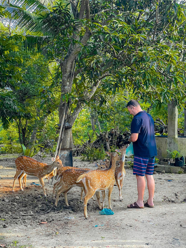 Others 2, Nehansa Resort and safari, Thissamaharama
