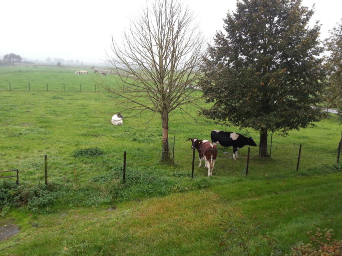 Others 5, B&B de Rivierduin, Hattem