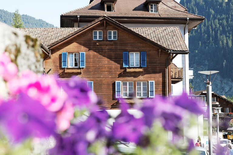Others 2, Hotel Steinbock, Interlaken