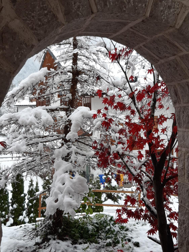 Others 3, Locanda Rondolost, Belluno
