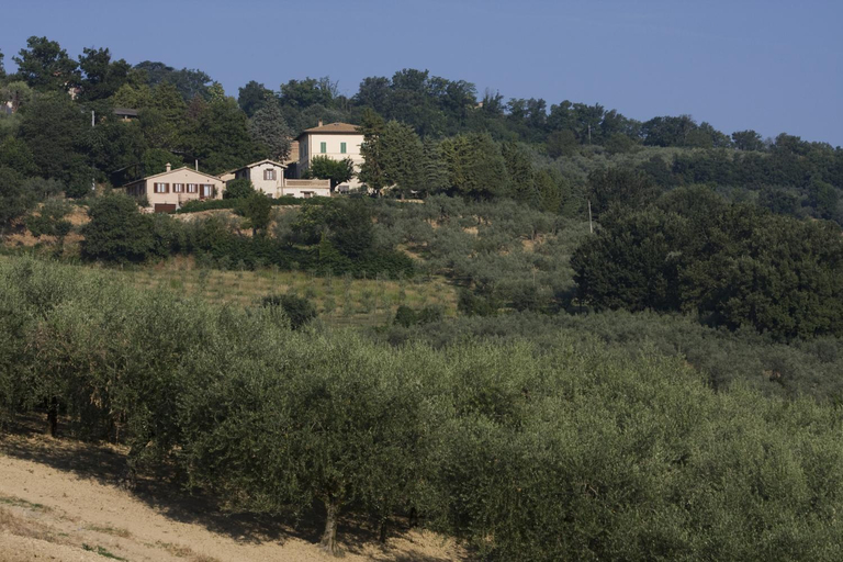 Others 3, Agriturismo il Girasole, Perugia