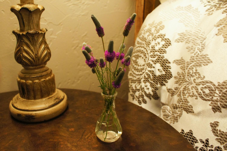 Facilities 5, Hidden Meadows Bed and Breakfast, Payne