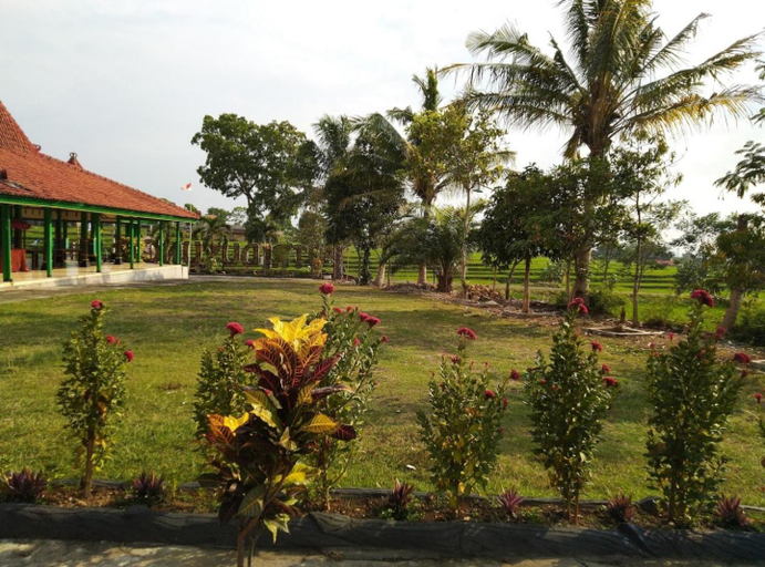 Scenery