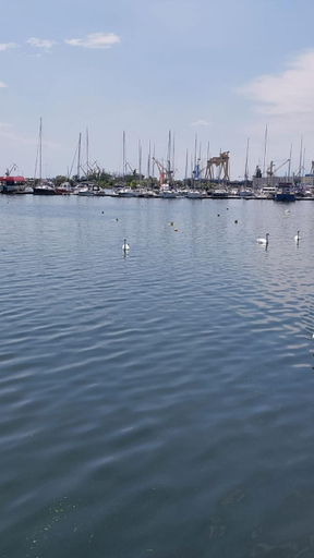 Others 5, Apartament Nina, Mangalia