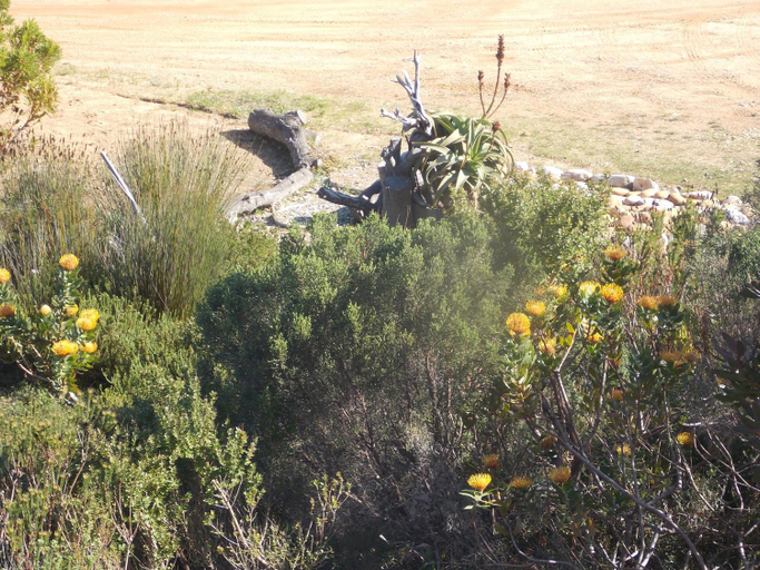 Others 4, Avondsrus Guesthouse, Overberg