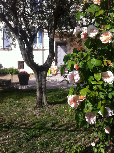 Others 5, Maison d'hotes Le Jas Vieux, Alpes-de-Haute-Provence