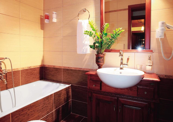 Bathroom, Hotel Driofillo, Epirus