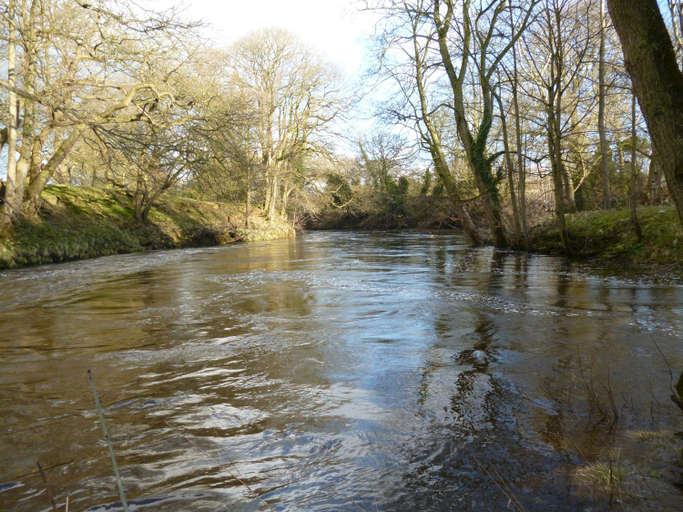Others 4, Mickley Bed and Breakfast, North Yorkshire